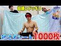 【ドッキリ】大嫌いな熱さまシート1000枚合体させてシルクをぶっ倒す！！！