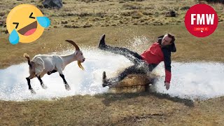 Funny & Hilarious People's Life 😂 #84 - Try not to Laugh | Funny Fails Compilati