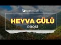 heyvagülü rəqsi heyvagulu reqsi