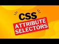CSS Attribute Selectors | HTML/CSS