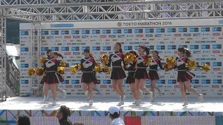 Stare　チアダンス　東京マラソン祭り2016