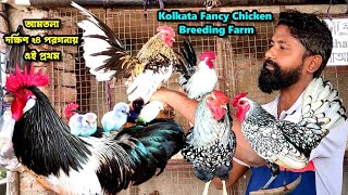 Kolkata এই প্রথম  Fancy Chicken Breeding Farm || Kolkata Fancy Chicken Breed Farm || @Haatinformer