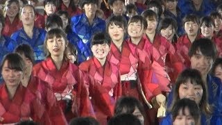 早大　東京花火　2018　ハヰカラ　第19回　東京よさこい　2018