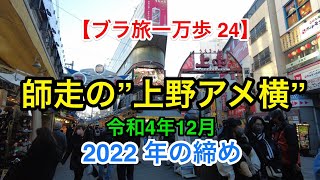 【ブラ旅一万歩24】師走の”上野アメ横”   #アメ横　#アメヤ横丁　#摩利支天     #上野