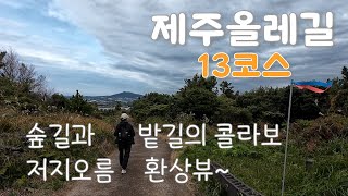 제주올레길 13코스 | 숲길과 밭길이 조화로운 올레길