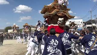 富田林　建水分神社　宮入り　神山　2022.10.15   河内の竜　生駒一