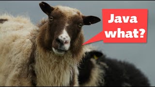 Quickly Fix your JavaScript Bugs