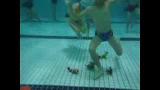 人人伊藤萬游泳學校--小朋友游泳教學-潛水動物DIVE ANIMALS-SWIMMING POOL GAMES