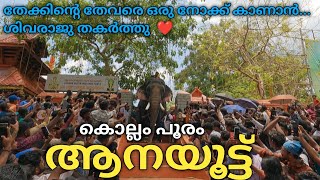 Kollam Ashram Elephant Adoption 2024| Kollam Pooram Anayoottu 2024