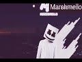 Fetty Wap - Trap queen (Marshmello remix)