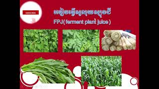 របៀបធ្វើសូលុយស្យុងជី FPJ សម្រាប់បំប៉នស្លឹក ដើម ត្រួយ|how to make PFJ fertilizer