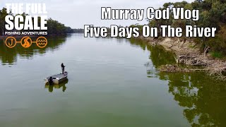 Murray Cod Vlog | The Full Scale