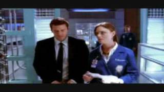 Temperance Brennan (Bones) - The Analyst (Delta Goodrem)