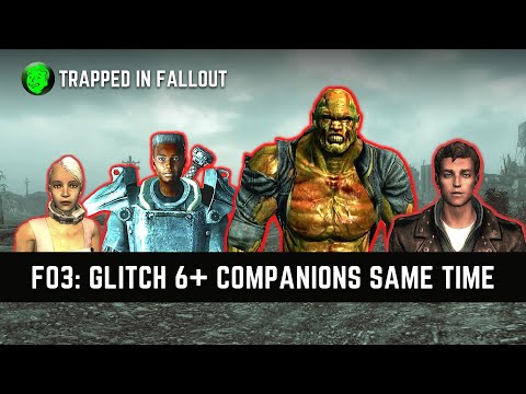 Can you have dogmeat and another companion Fallout 3?