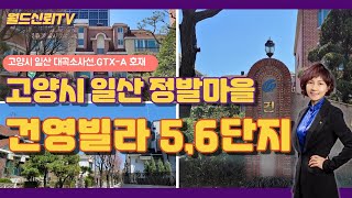 일산 마두동 정발5단지건영빌라정발6단지 건영빌라 ,정발마을건영빌라,도심한복판에 이런 단지가?_월드신뢰 TV_안순옥 공인중개사_is112