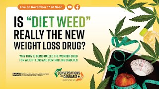 Is “diet weed” really the new weight loss drug?