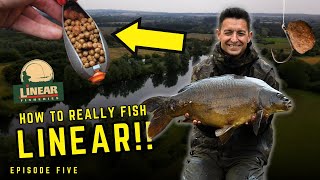 How to REALLY fish LINEAR FISHERIES | Missions | Go Catch