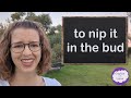 Idiom - to nip it in the bud