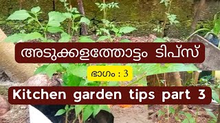 അടുക്കളത്തോട്ടം ടിപ്സ് | Kitchen garden tips part3 | ഭാഗം : 3