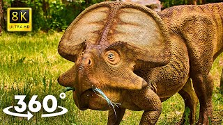 VR Jurassic Encyclopedia #3 - Protoceratops dinosaur facts 360 Education