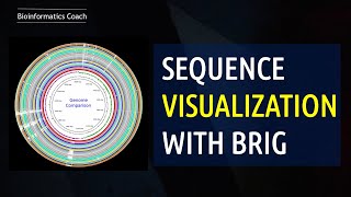 Genome Comparison and Visualization with BRIG Software | Bioinformatics Beginner Level