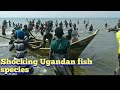 You won't believe what I found at Katosi landing site Uganda (EastAfrica )