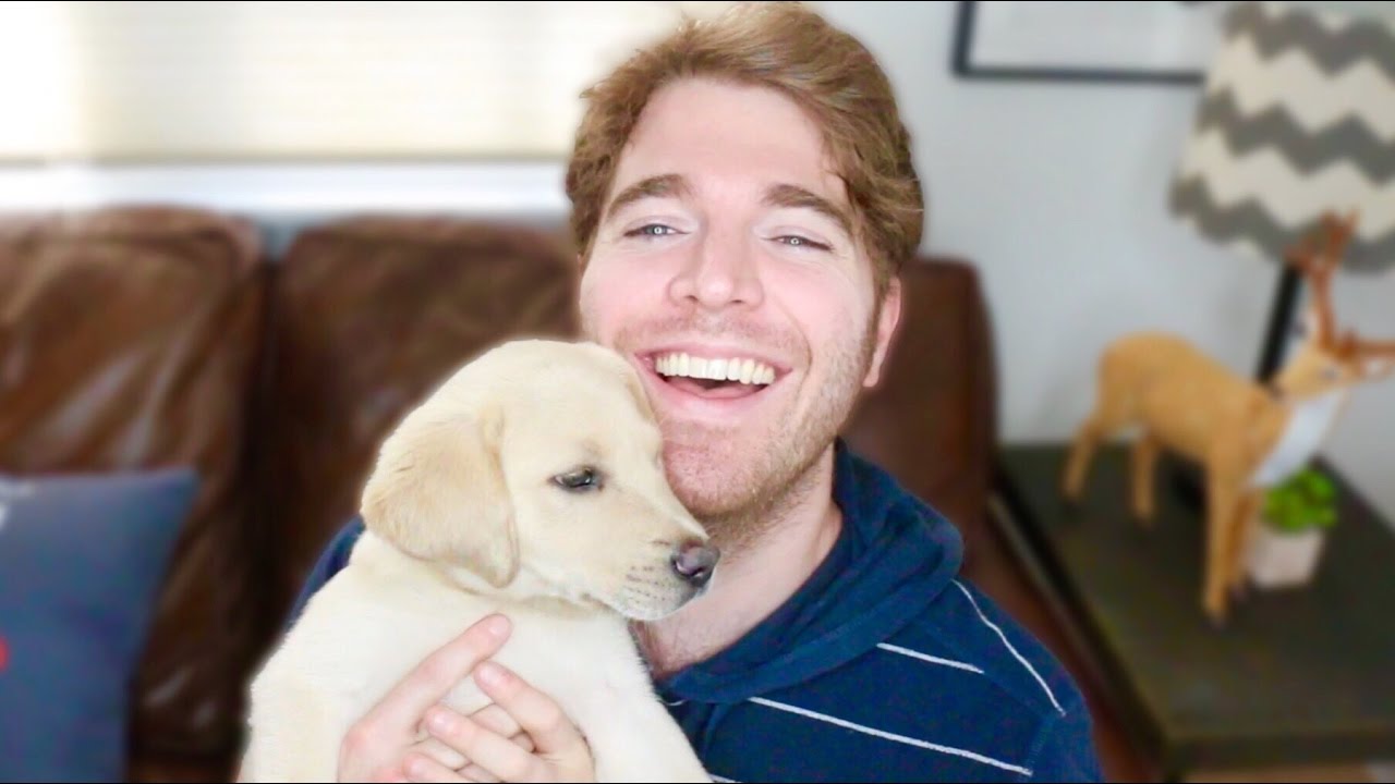 I Got A Dog Youtube