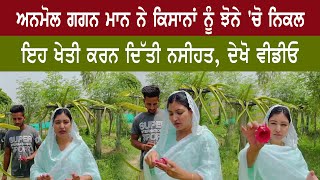 ANMOL GAGAN MAAN ਨੇ ਕਿਸਾਨਾਂ ਨੂੰ ਝੋਨੇ 'ਚੋ ਨਿਕਲ ਇਹ ਖੇਤੀ ਕਰਨ ਦਿੱਤੀ ਨਸੀਹਤ, ਦੇਖੋ ਵੀਡੀਓ