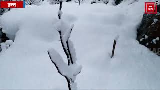 कुल्लू: लगघाटी Fresh Snowfall की ये तस्वीरें देख लो, मन को सुखद एहसास ना मिले तो कहना