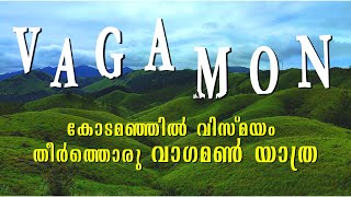 വാഗമൺ കാഴ്ചകൾ.../ Vagamon Trip # mallutraveller #techtraveleatbysujithbhakthan #travelling