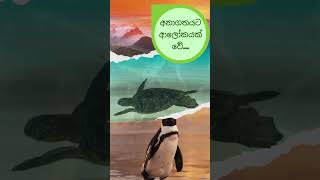 අපද්‍රව්‍ය කළමනාකරණ අධිකාරිය - බස්නාහිර පළාත - Waste Management Authority - Western Province