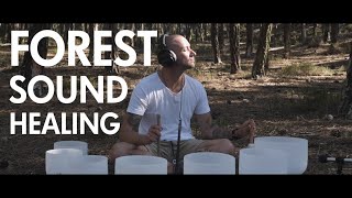 Forest sound healing with crystal bowls