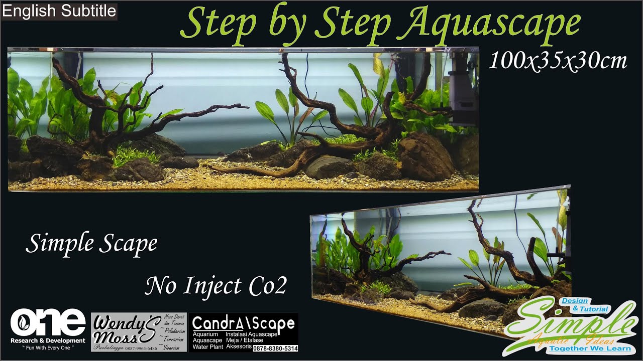 Step By Step Aquascape Simple Nature Low Tech Non Inject Co2 Tank 100 ...