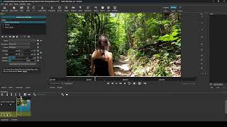 Shotcut: Masking or Blurring a Moving Object