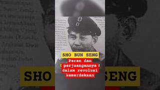 Kisah Sho Bun Seng: Gerilyawan Tionghoa Pejuang Republik.