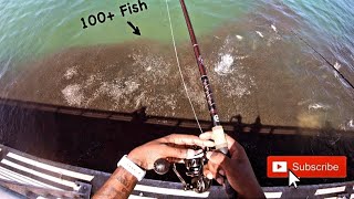 NONSTOP fish Frenzy (Sebastian Inlet) *Big Fish