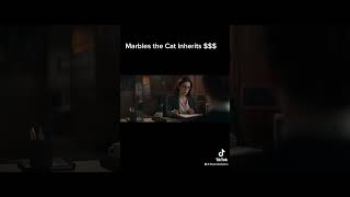 Marbles the Cat Inherits Millions of Dollars! #TheProbatePro #Inheritance #Chewy #Probate #Cat