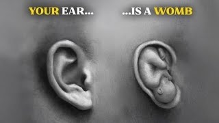 உங்கள் காது ஒரு கருப்பை || Your ear is a Womb...