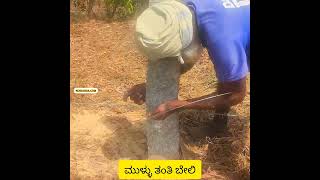 ಮುಳ್ಳು ತಂತಿ Barbed Wire ಬೇಲಿ ಹಾಕುವುದು ನೋಡಿ; Rural Agriculture land to protect from Animals