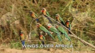 AFRICA.wmv