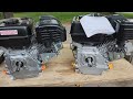 predator 212 hemi vs non hemi side by side comparison