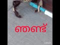 പഠന(പശ്നപരിഹാര അക്ഷര  ബോധനം ,ഞ,ഞ്ഞ