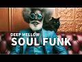 Echoing Dome & Deepest Bass 🔭 The Old Observatory | Soul Funk