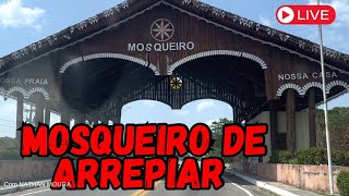 MOSQUEIRO DE ARREPIAR