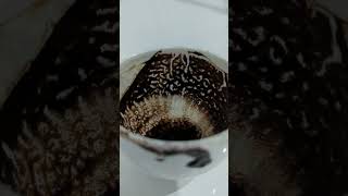 GEMINI ♊ WEEKLY COFFEE CUP READING ☕ 21 TO 27 APRIL 2025
