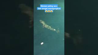 Ternyata begini serunya mancing dan menjaring ikan dikapal bagang #shorts #reels #nelayan #viralfyp