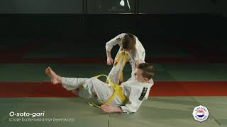 Gele band judo:  O-soto-gari | Grote buitenwaartse beenworp