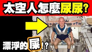 5個太空人的冷知識｜你知道太空人怎麼上廁所的嗎？如果沒開這這機關...大便就飄起來了XD