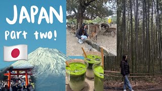 JAPAN VLOG 🇯🇵🍡 part two: kyoto & tokyo