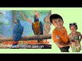 2024 Langkawi Wildlife Park | Watch before you go